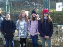 Vysokomýtská - 20191220_130344