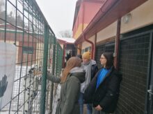 Vysokomýtská - IMG_20221216_132036