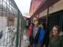 Vysokomýtská - IMG_20221216_132039