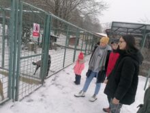 Vysokomýtská - IMG_20221216_132227