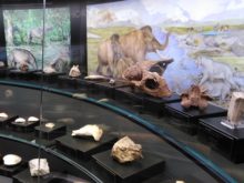 Muzeum_geologie - IMG_20200310_101505