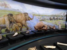 Muzeum_geologie - IMG_20200310_102209