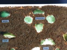 Muzeum_geologie - IMG_20200310_103640