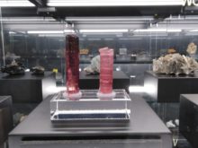 Muzeum_geologie - IMG_20200310_104157