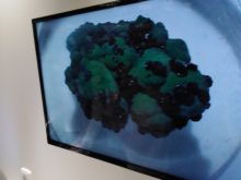 Muzeum_geologie - IMG_20200310_105327