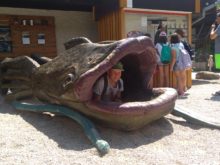 Němcová - IMG_20180604_134046.jpg