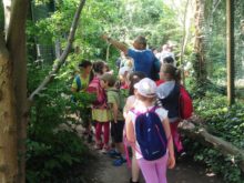 Novakova - ZOO-11.jpg