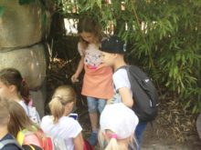 Novakova - ZOO-15.jpg