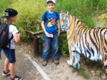 Novakova - ZOO-17.jpg