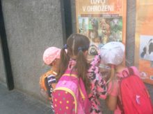 Novakova - ZOO-5.jpg