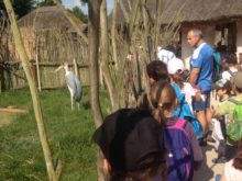 Novakova - ZOO-8.jpg