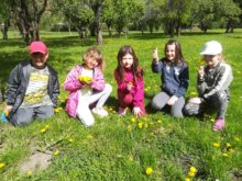 řed.volno - IMG_20190510_103523.jpg