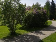 řed.volno - IMG_20190513_102657.jpg