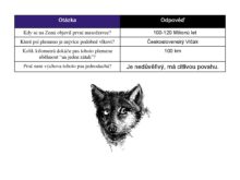 Mimocitankova_cetba - Marek-Cifreund-Otazky-page-001
