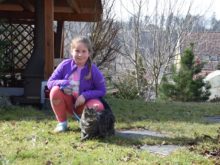 aktivita - DSC_0043