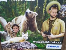 Nováková - Vylet-do-Zoo-19