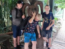 Hluboká_2 - Zoo_10