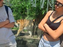 Hluboká_2 - Zoo_22