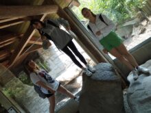 Hluboká_2 - Zoo_32