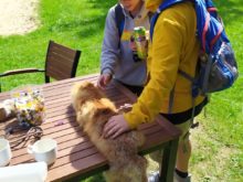 Olšina - IMG-20220526-WA0043
