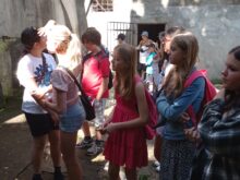 zimekova - IMG_20230629_104901