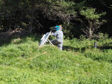Paintball - P9062703