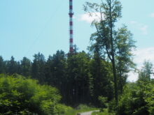 Školní_výlet - P6192472
