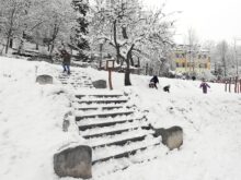 Sníh - 20231201_131950