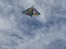 Draci - 20241127_140128