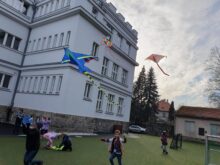Draci - IMG-20241128-WA0003